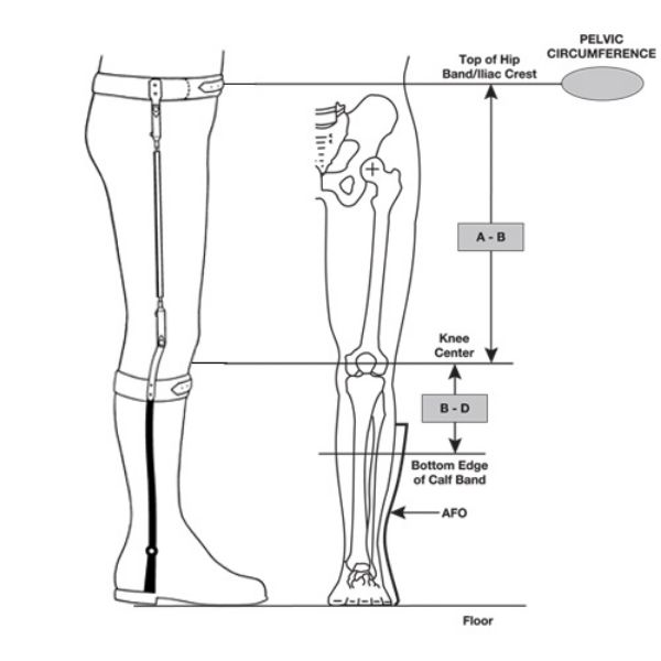 Image de Appareil complet de dérotation bilatéral fait sur mesure avec articulations de genou et segments jambiers