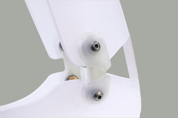 Image de Articulations Tamarack dorsi assist 