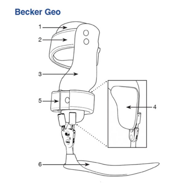 Image de Orthèse d'évaluation GEO